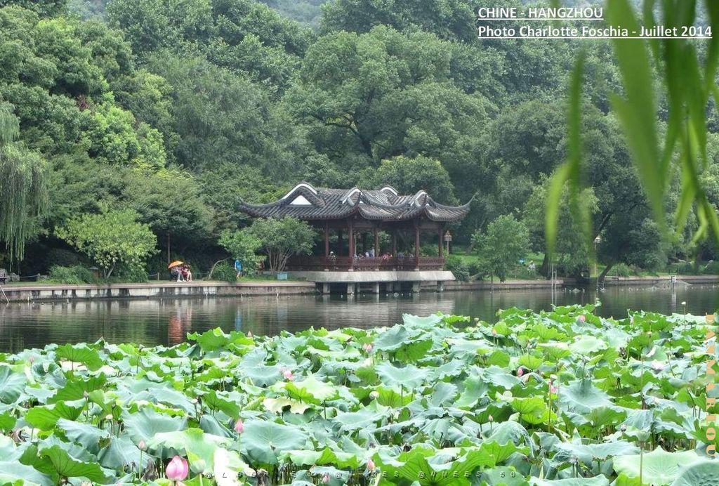 Charlotte- Hangzhou 001.JPG